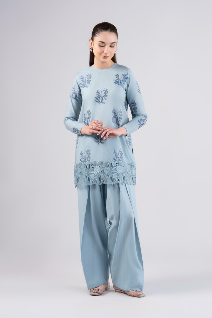 2 Pc Embroidered Jacquard Suit  MBCS122-ESM-IBU