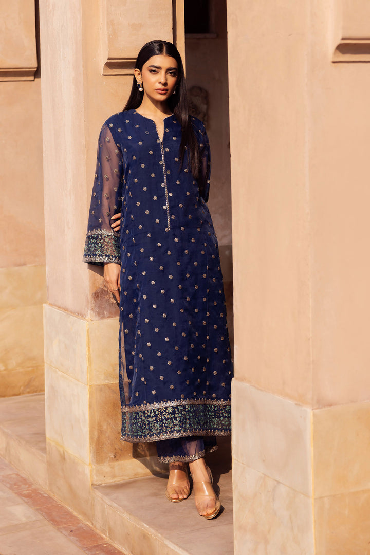 2 Pc Embroidered Organza Suit  MB24505-ESM-NBU