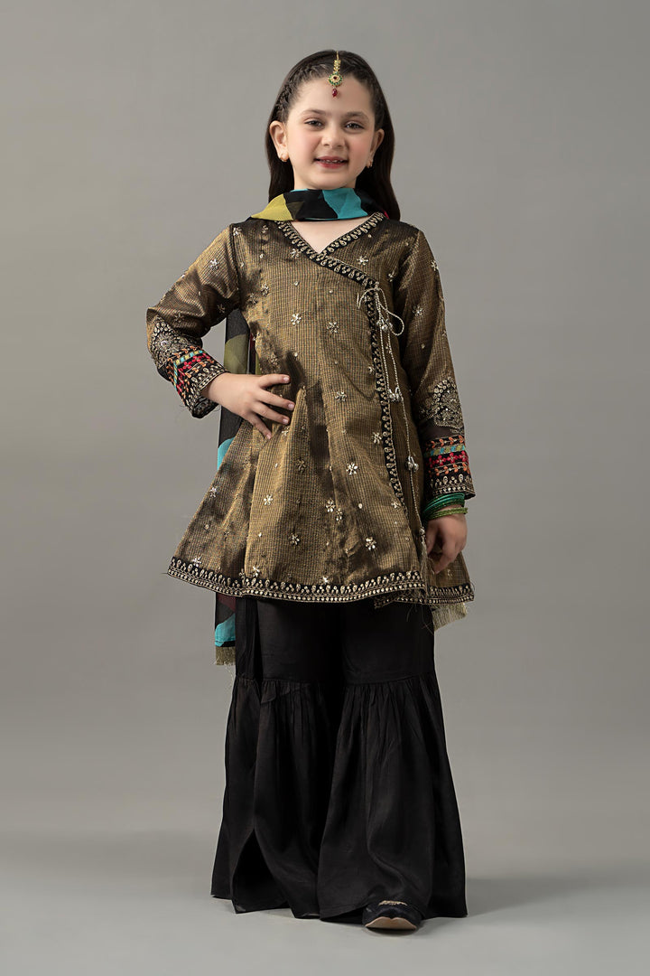 3 Piece Embroidered Cotton Zari Net Suit All Products MSF2546-023-BLK