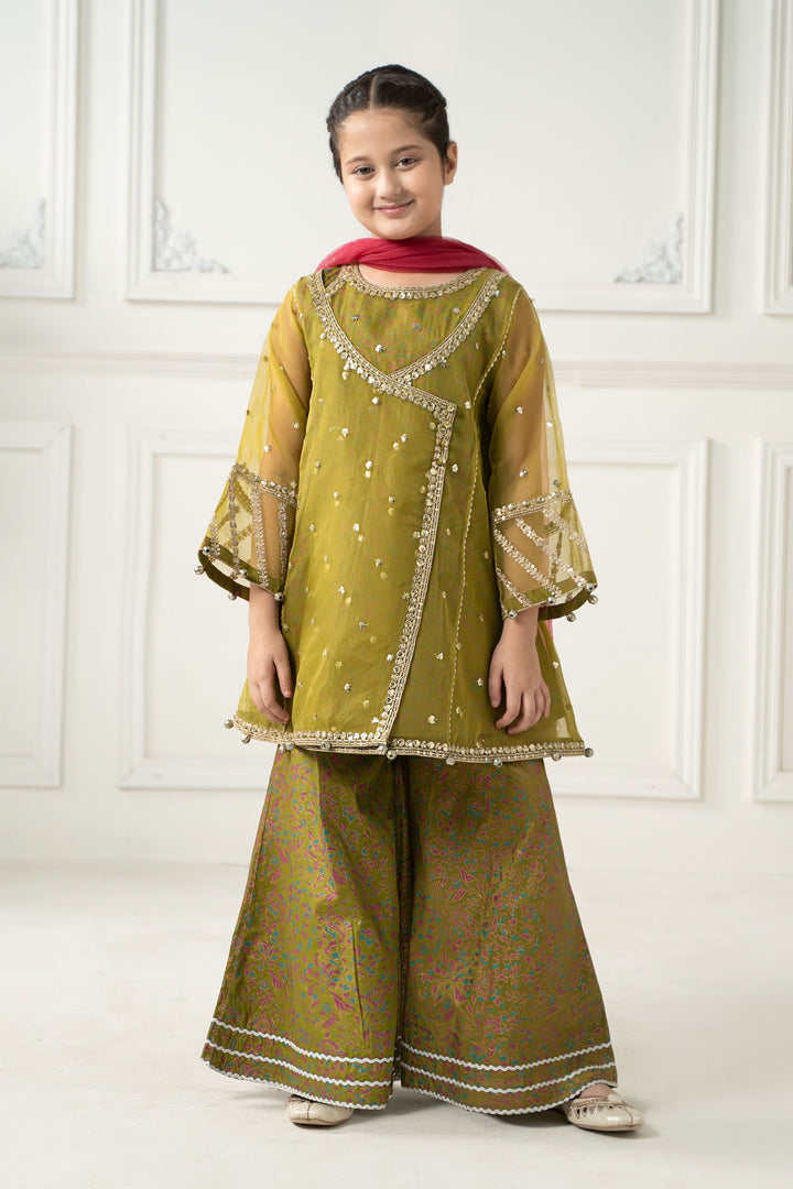 3 Piece Embroidered Poly Organza Suit All Products MSF2511-023-OGN