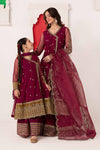 3 Piece Embroidered Net Suit