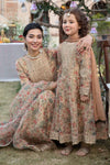 3 Piece Masoori Net Suit