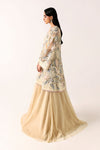 Embroidered Net Fabric (1Pc)