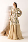 Embroidered Net Fabric (1Pc)
