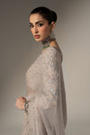 Embroidered Chiffon Saree