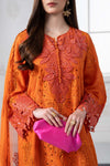 3 Piece Embroidered Paper Cotton Suit | DS-2505-B