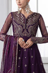 3 Piece Embroidered Net Suit | DS-2507-B