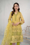 Suit Green DW-EF23-78