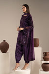 3 Piece Embroidered Palachi Suit
