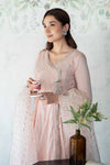 3 Piece Embroidered Net Suit