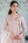3 Piece Embroidered Net Suit