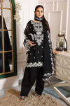 3 Piece Embroidered Cotton Net Suit