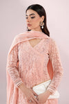 3 Piece Embroidered Polyester Net Suit