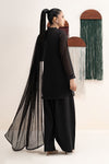 3 Piece Embroidered Cotton Net Suit