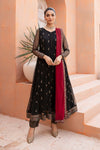 3 Piece Embroidered Net Suit