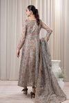 3 Piece Printed Organza Masoori Net Suit