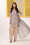 3 Piece Embroidered Silk Suit