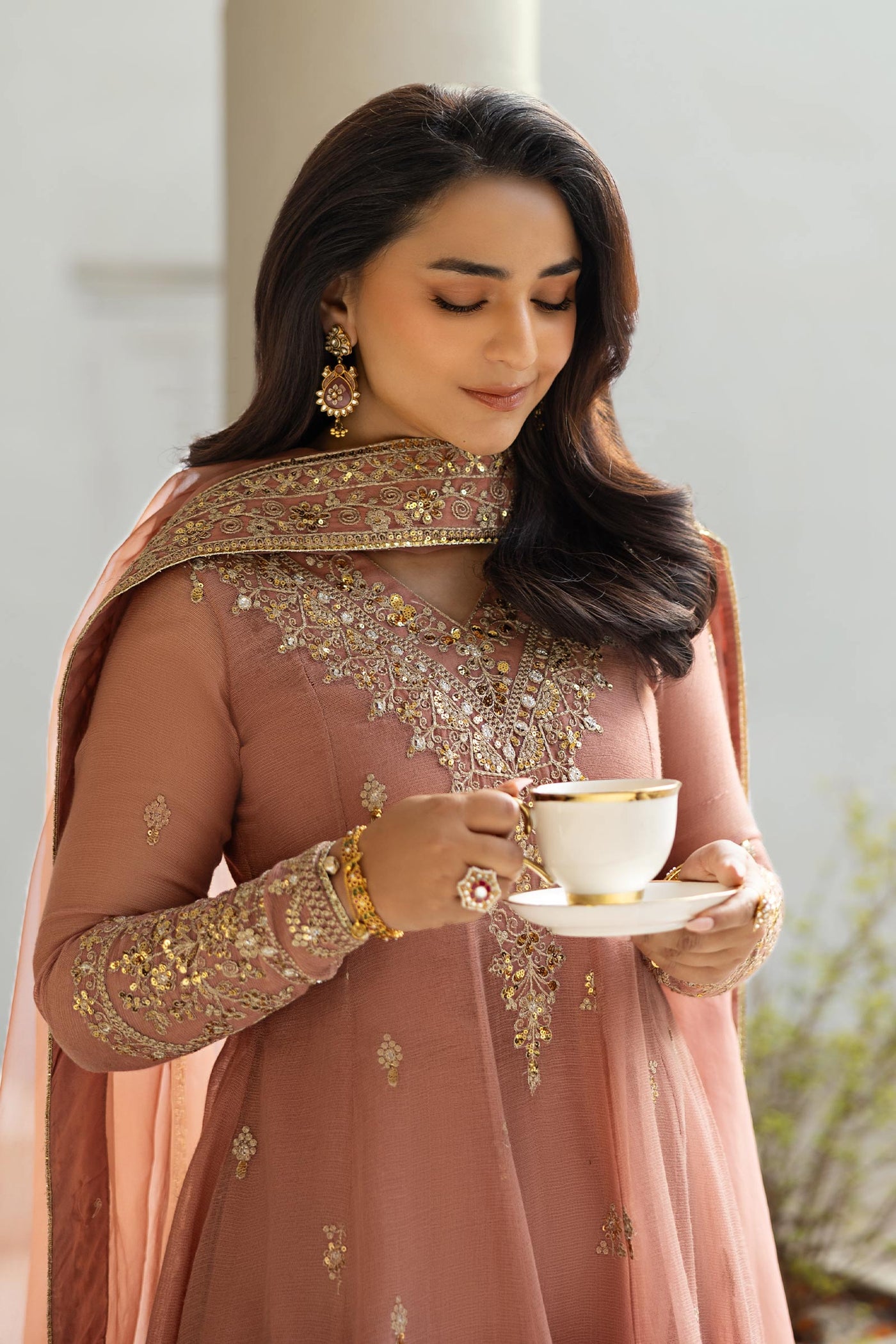 3 Piece Embroidered Cotton Net Suit | DW-EF25-88