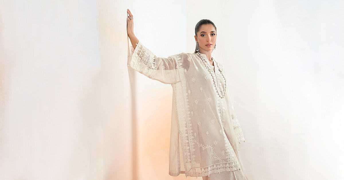 3 Piece Embroidered Cotton Net Suit | DW-EF25-92