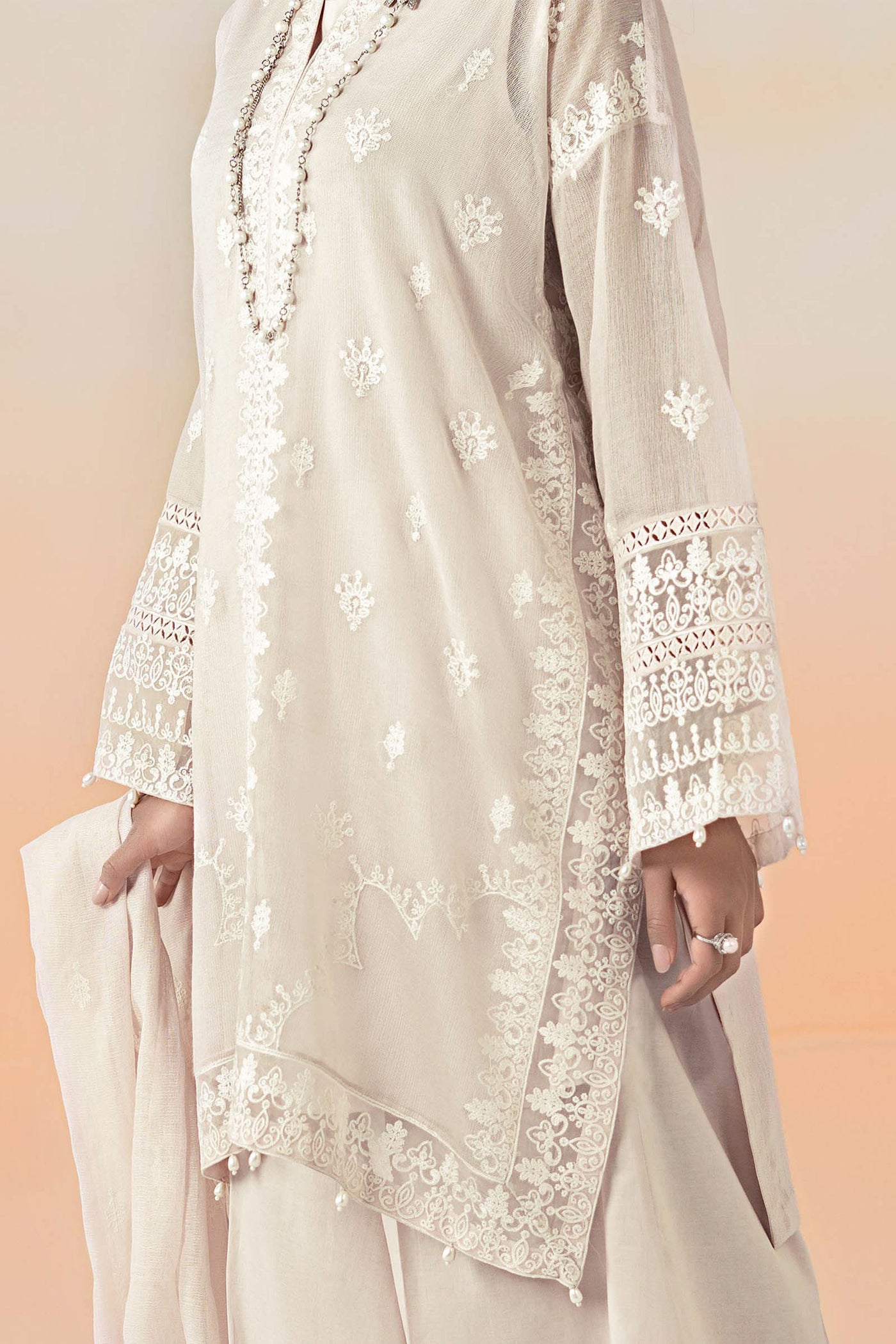 3 Piece Embroidered Cotton Net Suit | DW-EF25-92