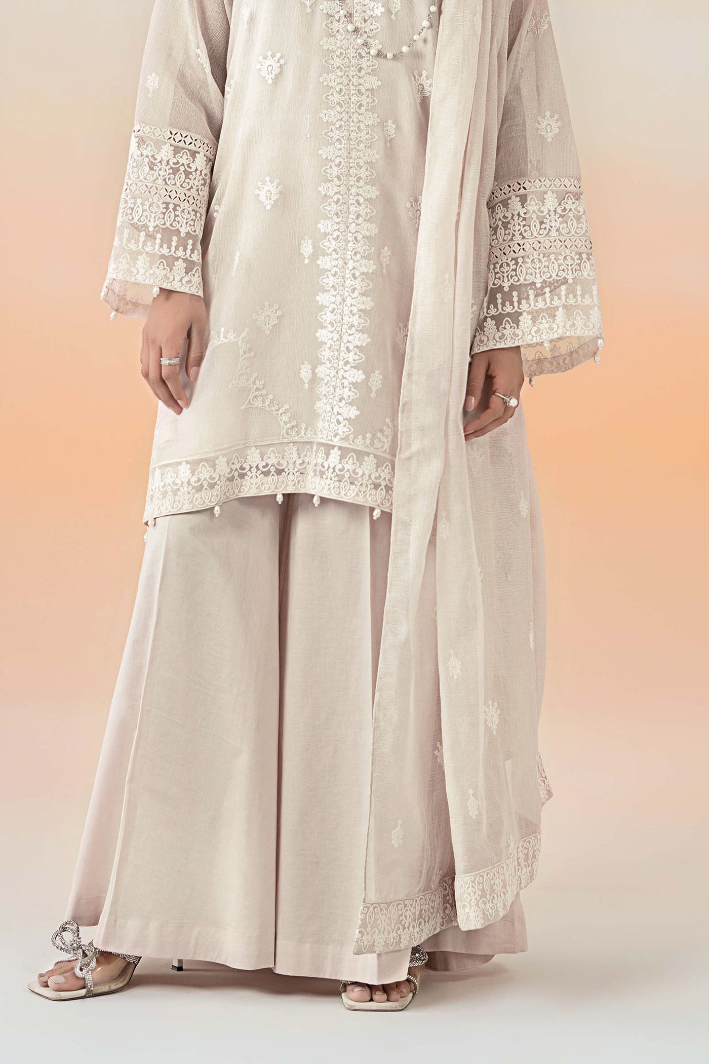 3 Piece Embroidered Cotton Net Suit | DW-EF25-92