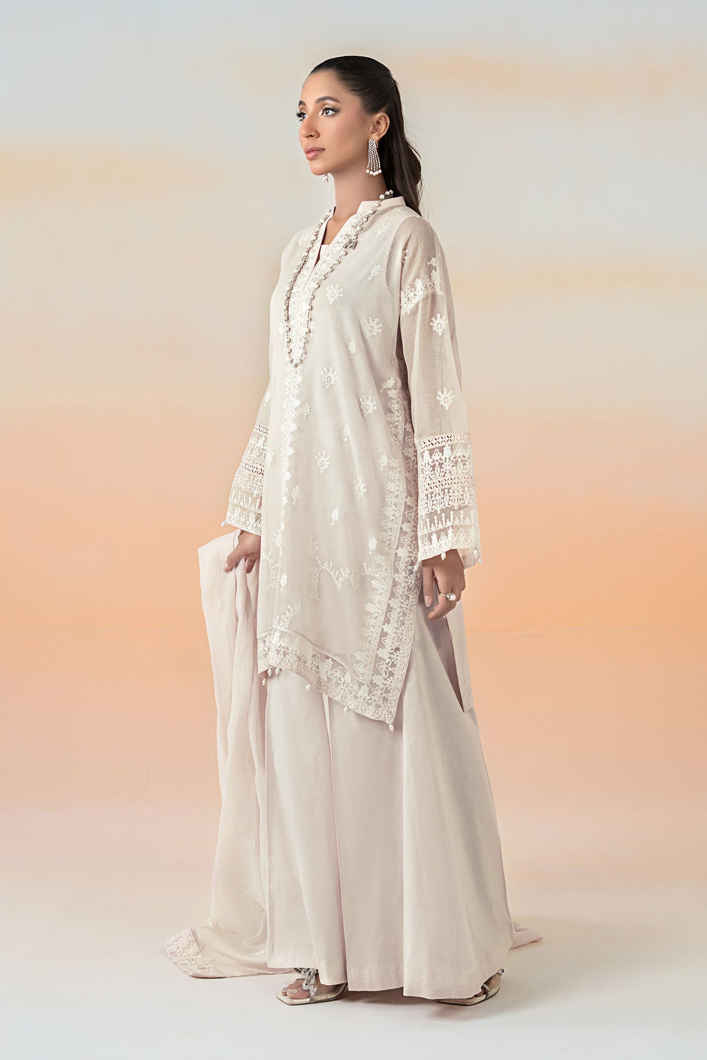 3 Piece Embroidered Cotton Net Suit | DW-EF25-92