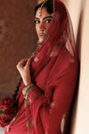 Embroidered Net Fabric (2Pcs)