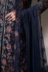 Embroidered Net Fabric (2Pcs)
