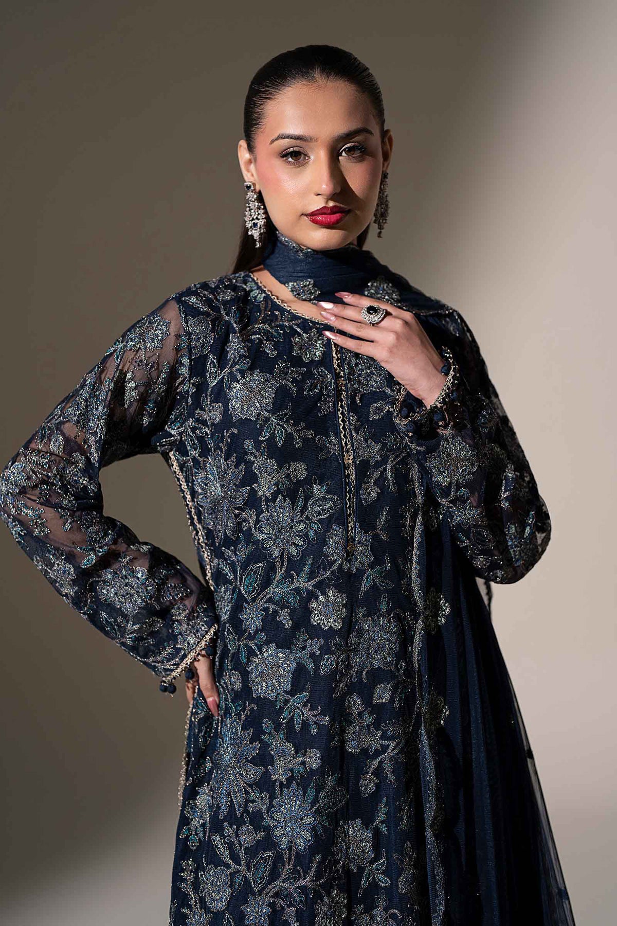 Embroidered Net Fabric (2Pcs)