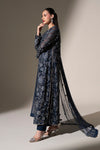 Embroidered Net Fabric (2Pcs)