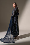 Embroidered Net Fabric (2Pcs)