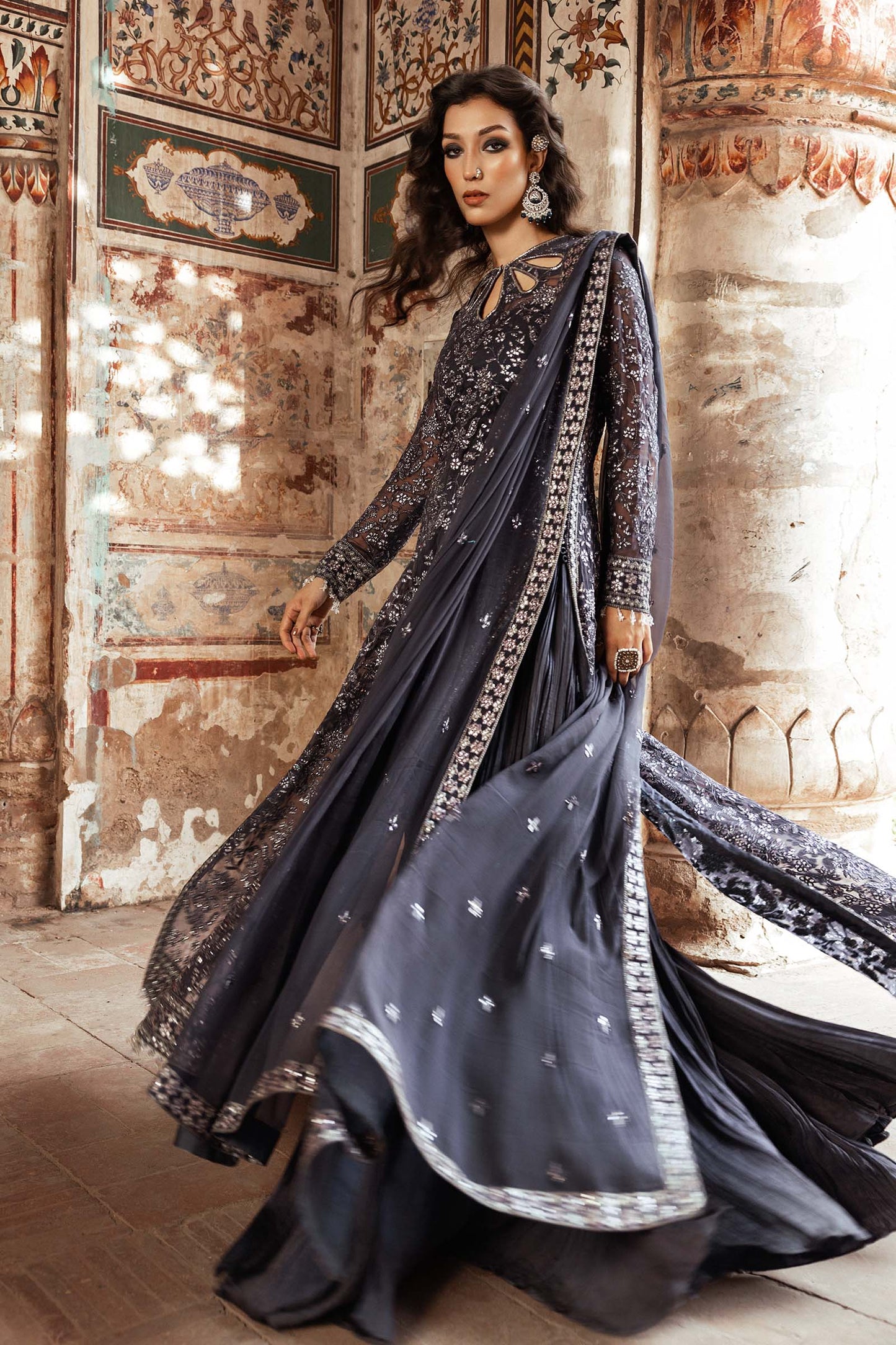 Embroidered Chiffon Fabric (2Pcs) | LF-919