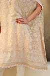 Embroidered Chiffon Fabric (2Pcs) | LF-817