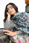 2 Pc Embroidered Lurex Cotton Suit