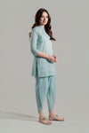 2 Pc Embroidered Lawn Suit
