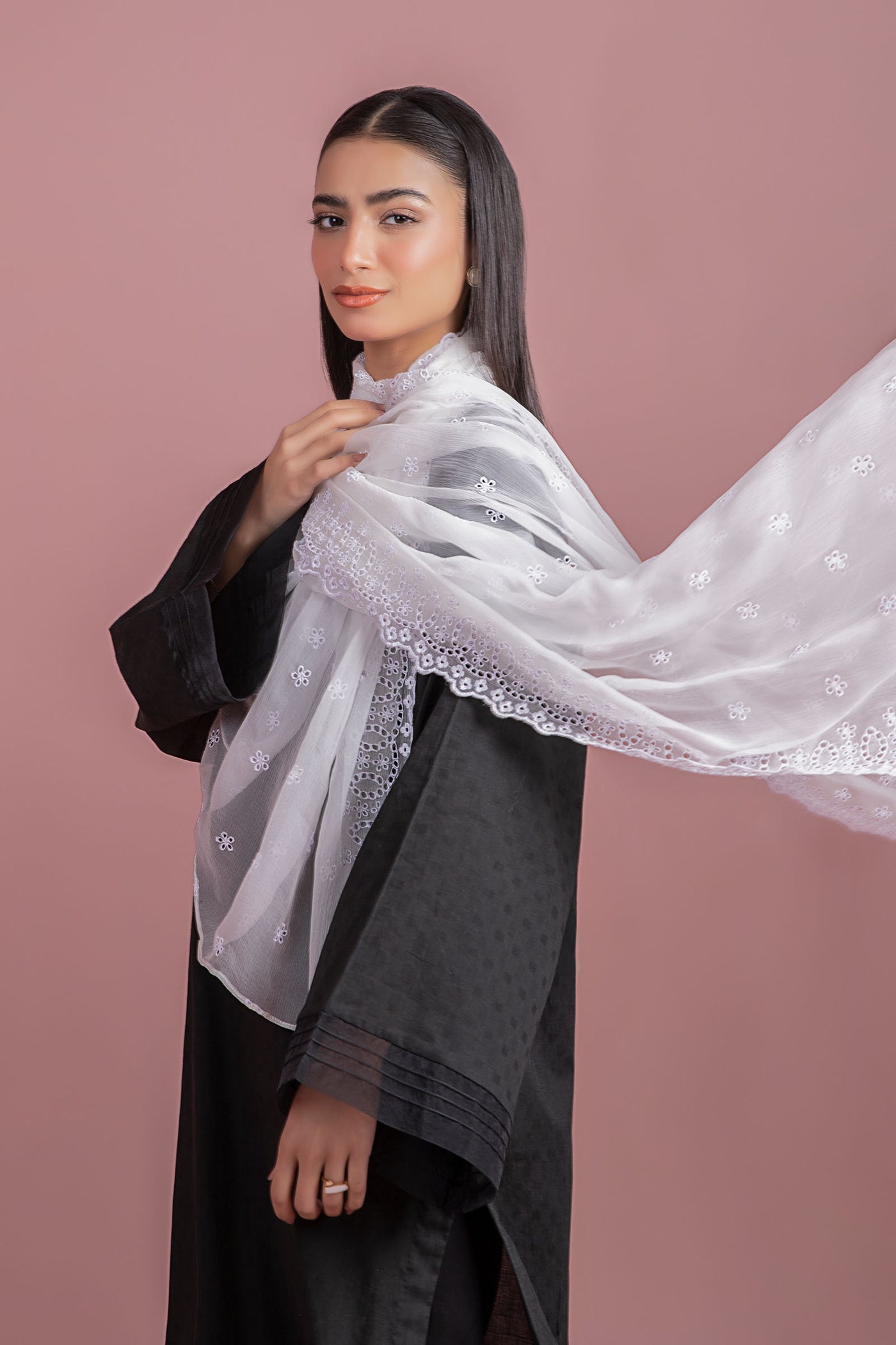 Embroidered Chiffon Dupatta