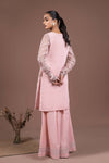 2 Piece Embroidered Organza Suit
