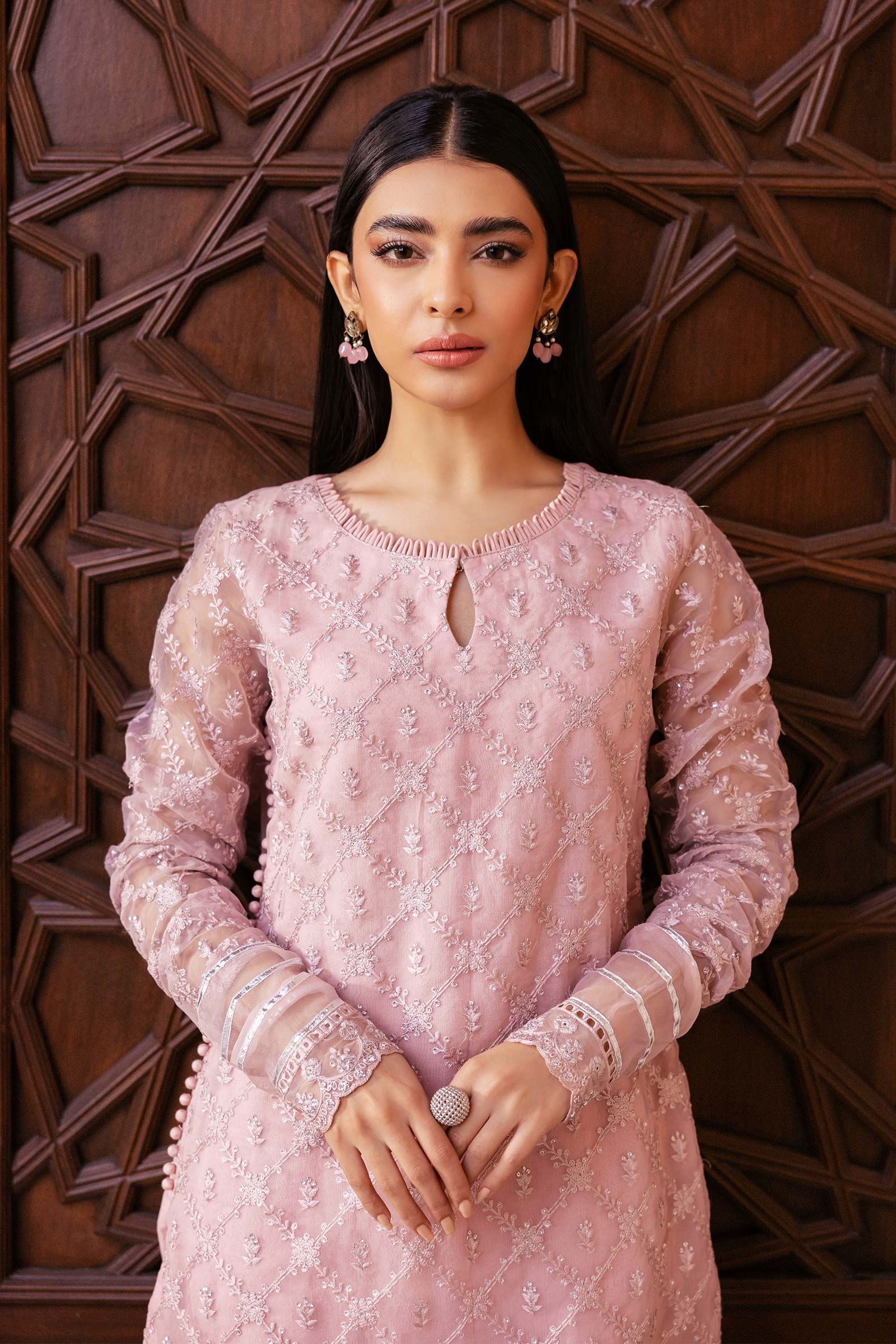 2 Piece Embroidered Organza Suit