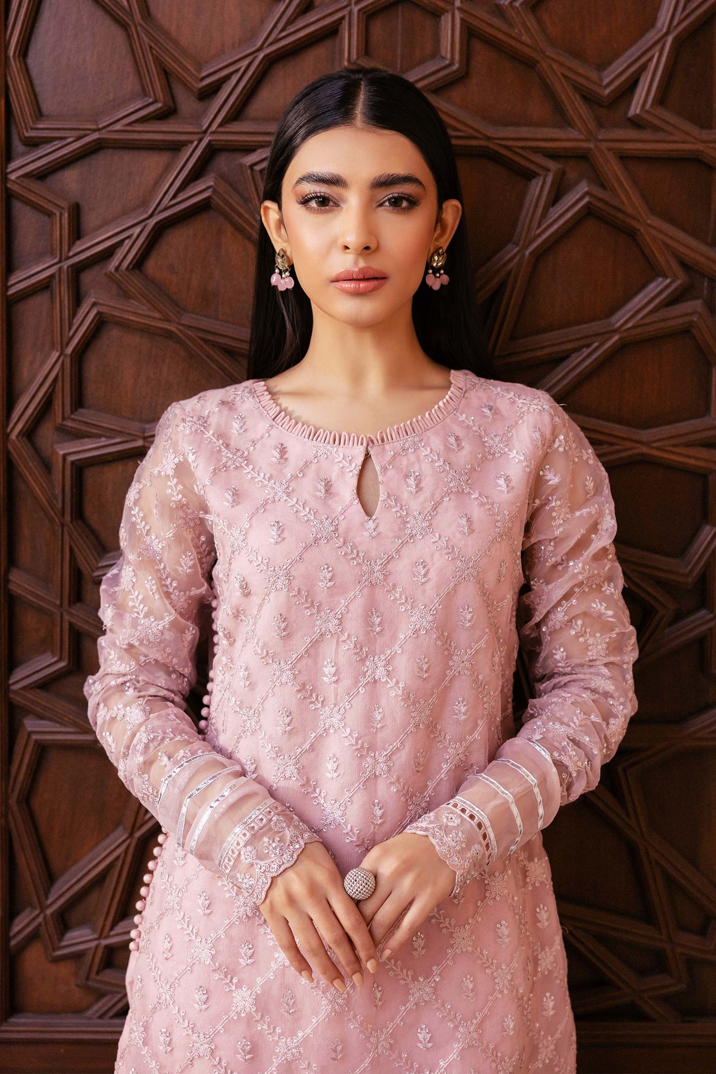 2 Piece Embroidered Organza Suit