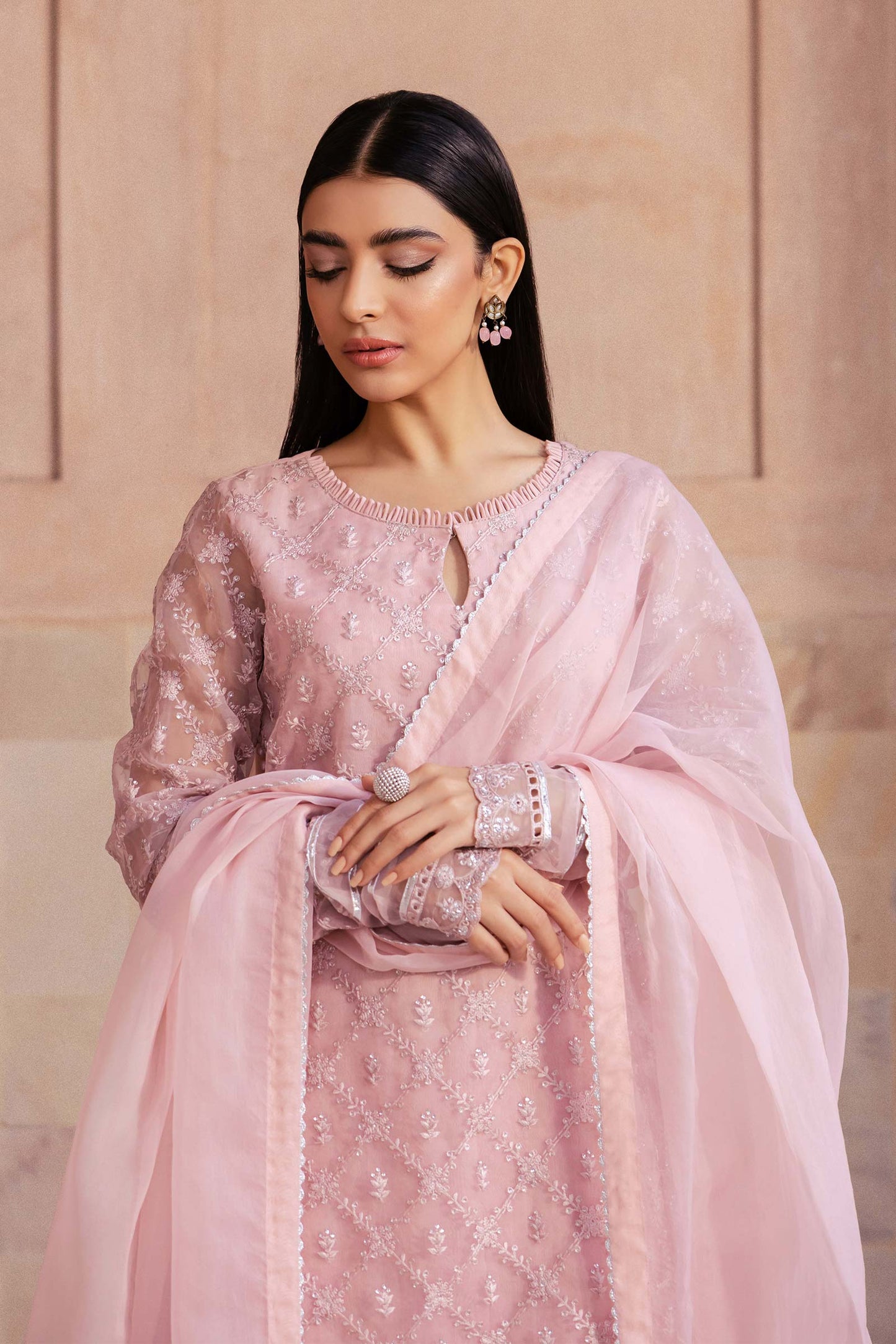 2 Piece Embroidered Organza Suit