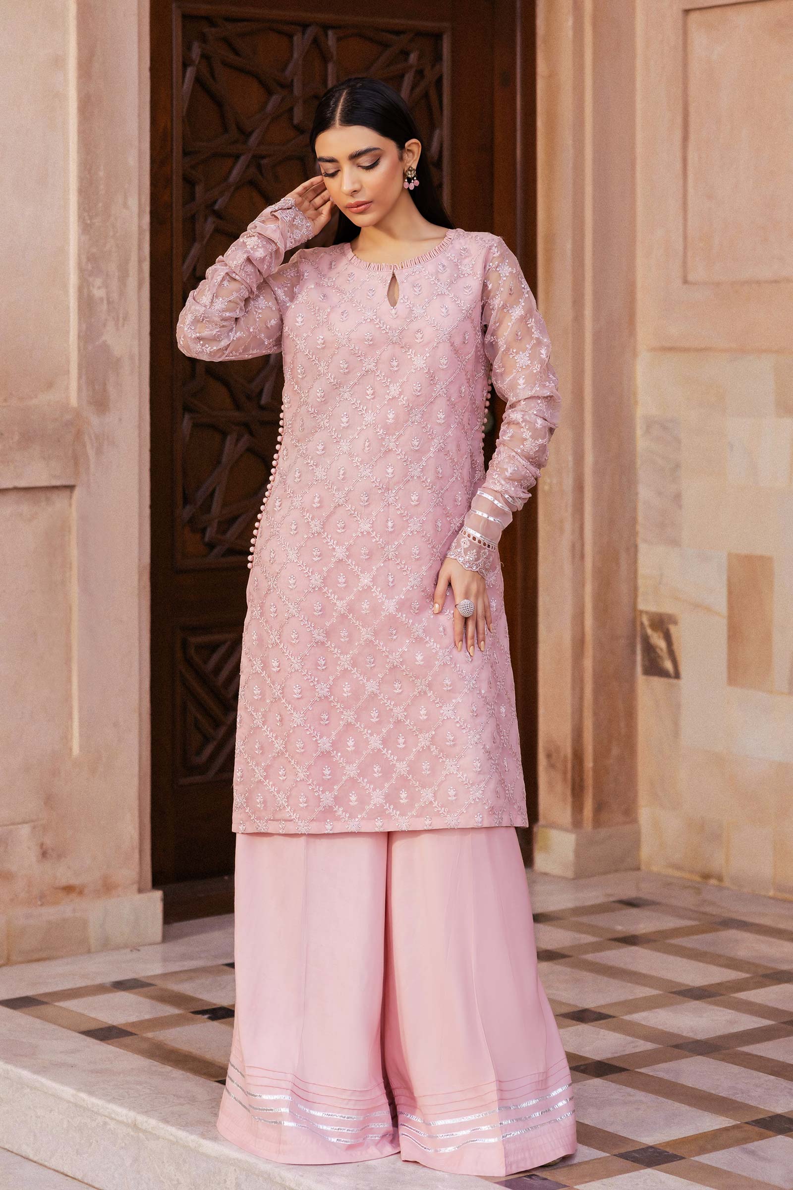 2 Piece Embroidered Organza Suit