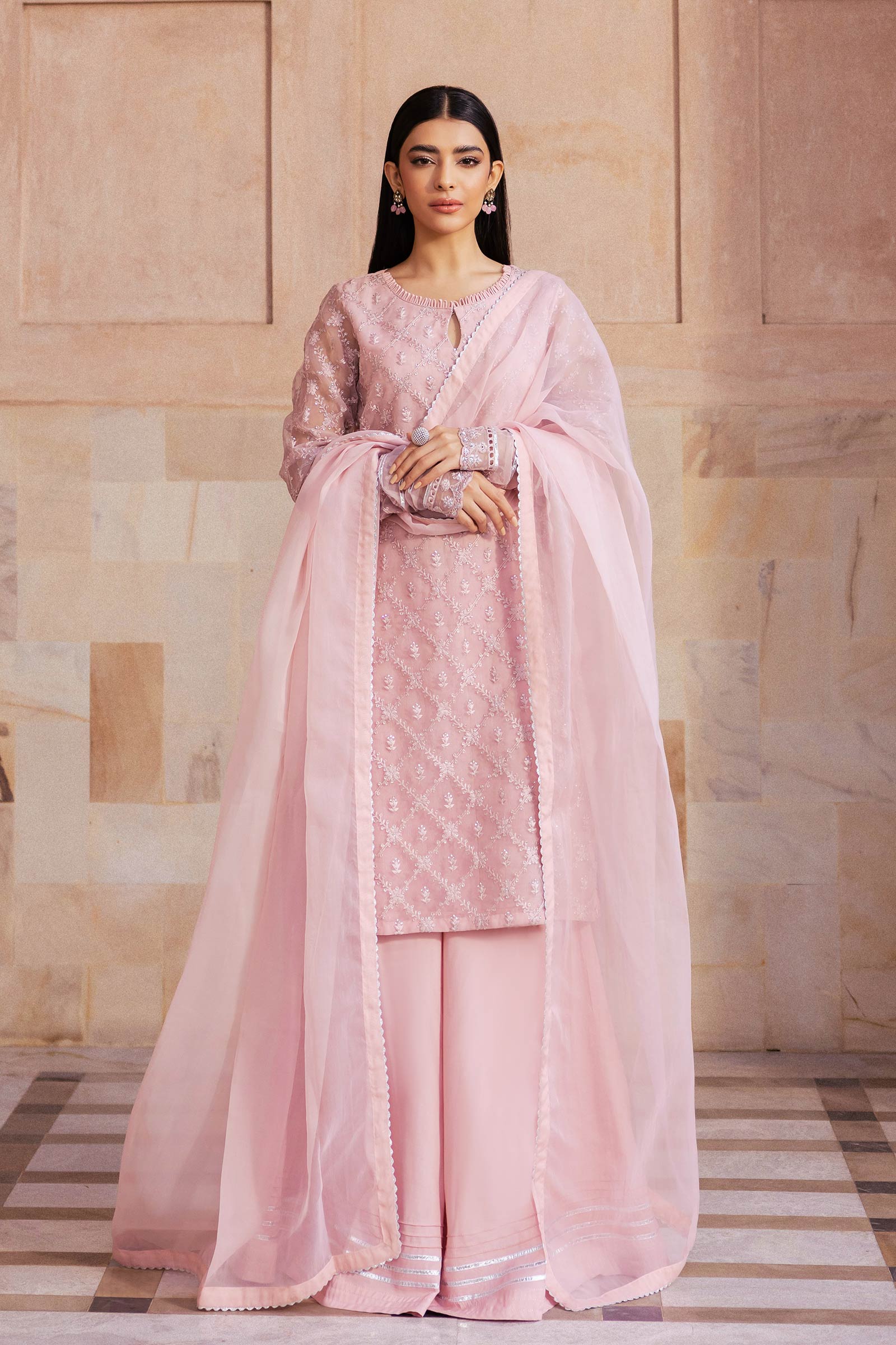 2 Piece Embroidered Organza Suit