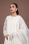 2 Piece Embroidered Organza Suit