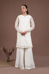 2 Piece Embroidered Organza Suit