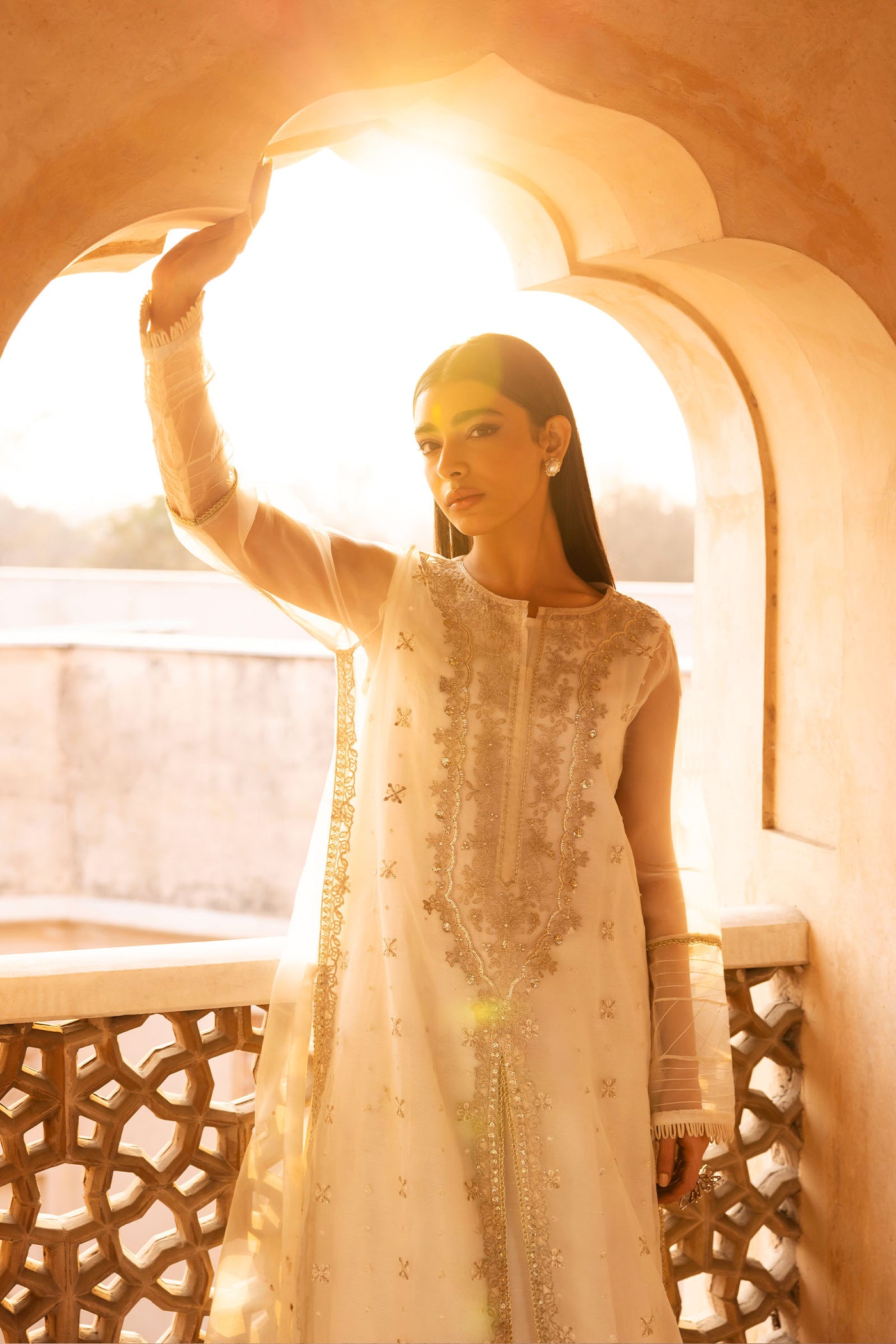 2 Piece Embroidered Organza Suit