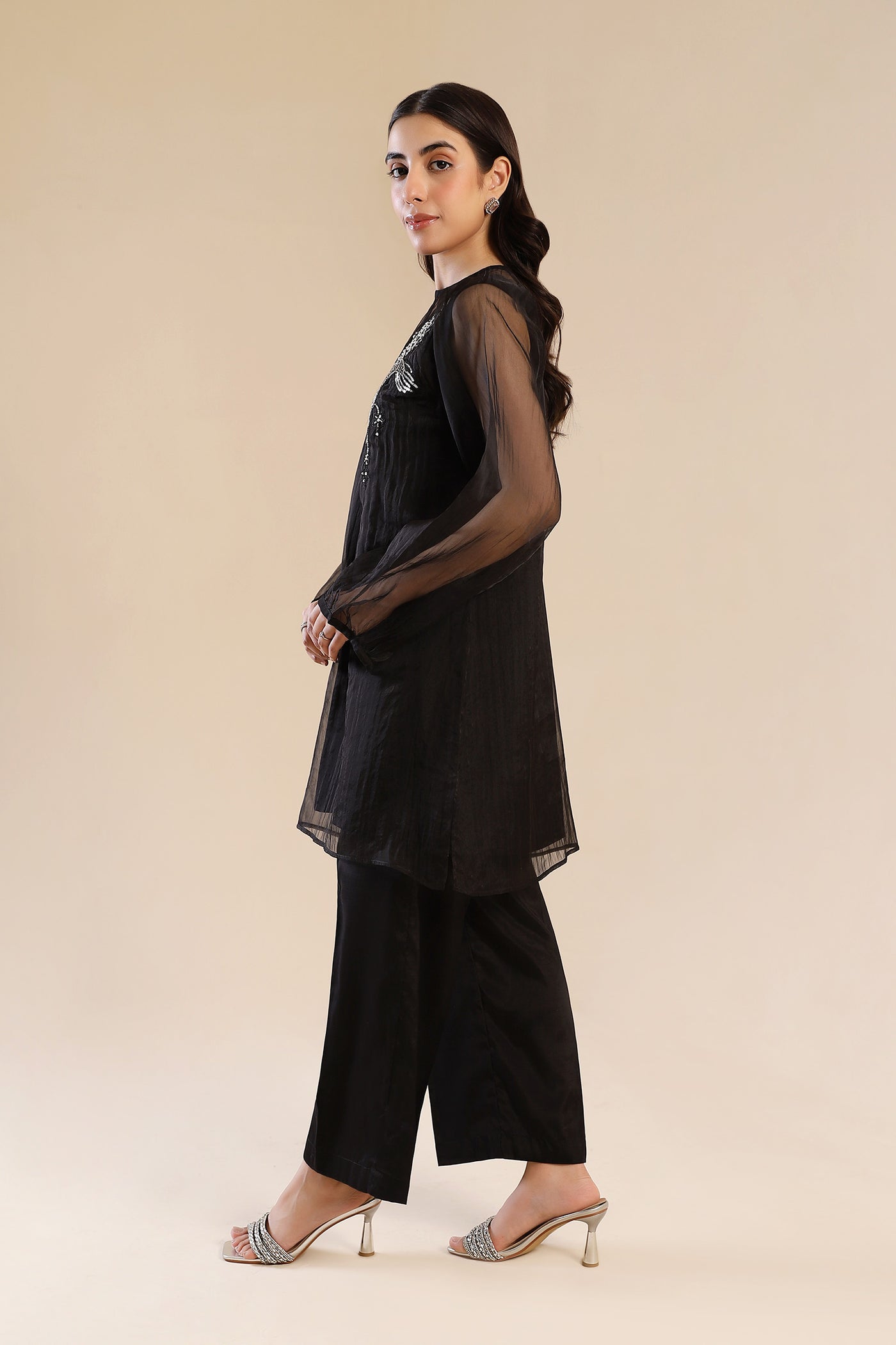 2 Pc Embroidered Organza Suit