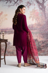 3 Pc Embroidered Velvet Suit
