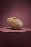 Evening Shell Clutch