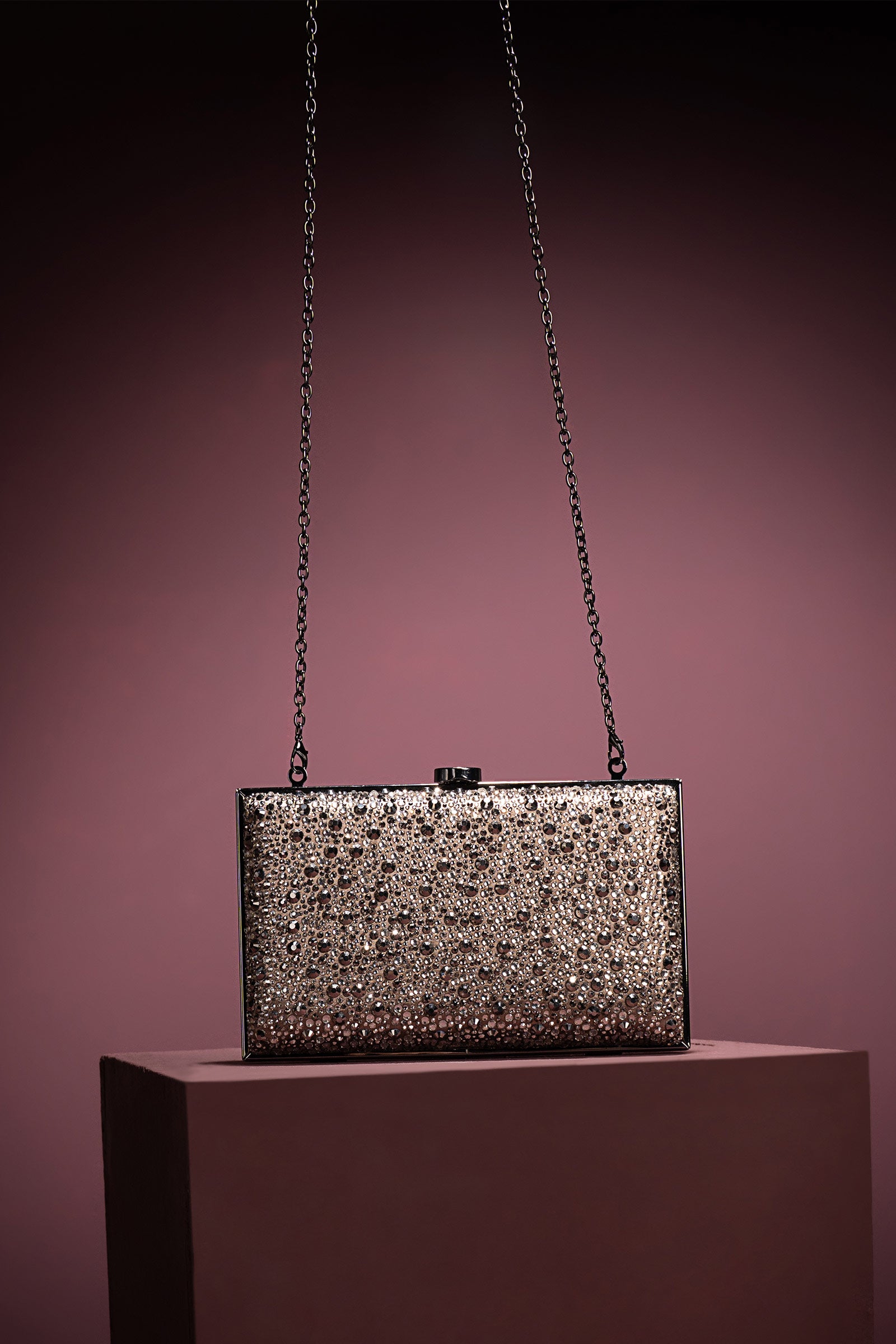 Sparkling Rectangle Clutch