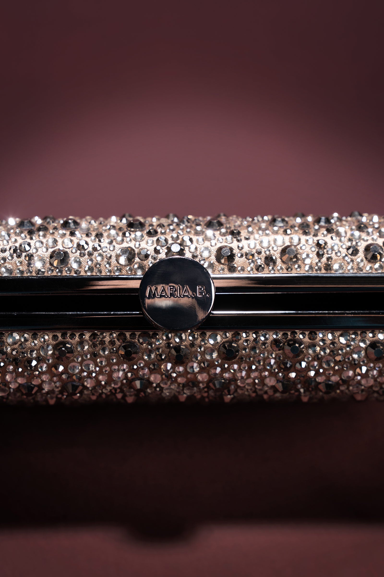 Sparkling Rectangle Clutch
